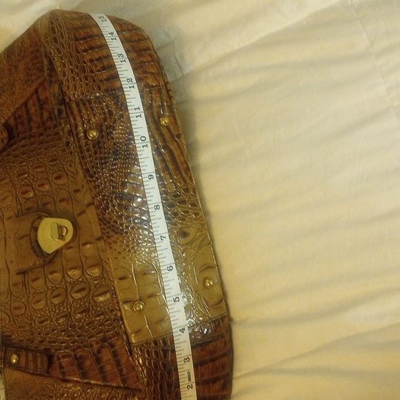 Brahmin - Picture 4 of 12